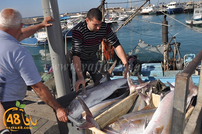 samak antayasa (2).JPG